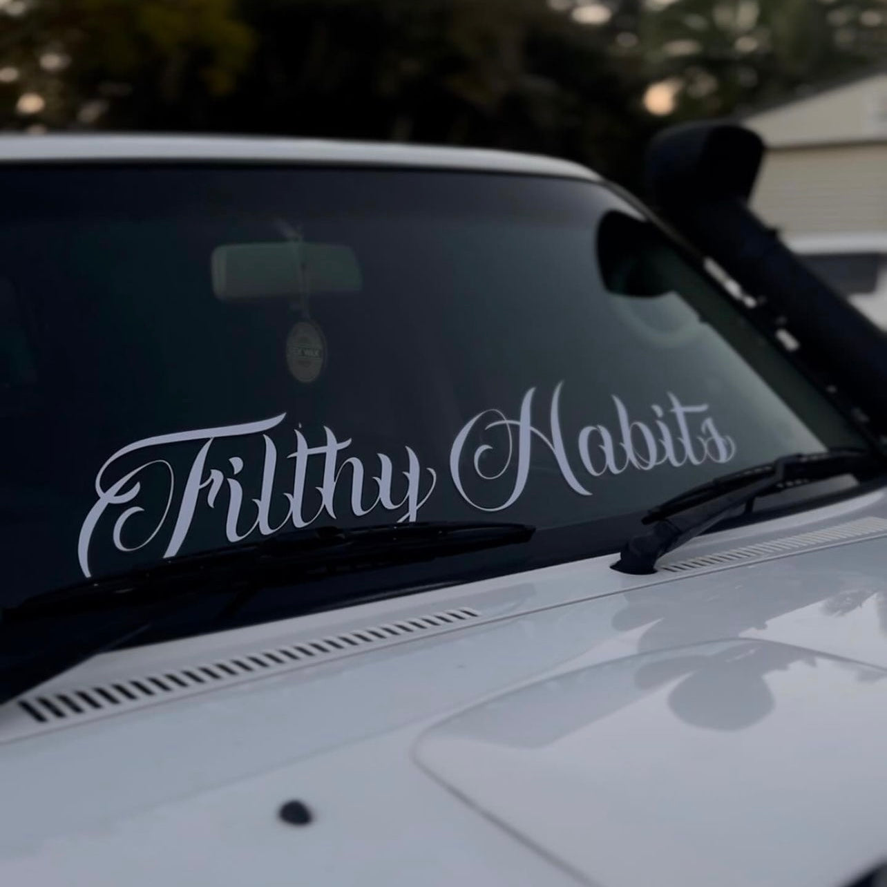 Filthy Habits Window Banner White